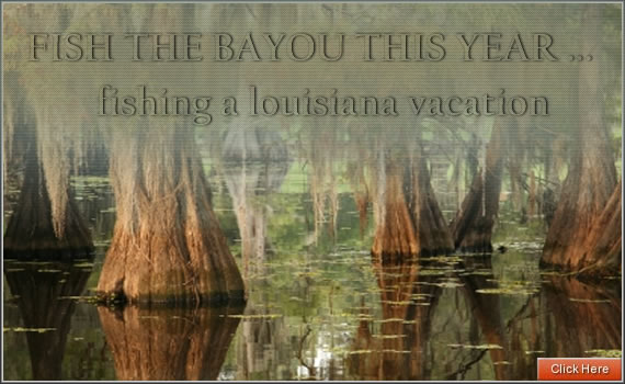 Louisiana Travel Guides