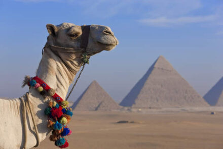 Egypt Weekend Guide